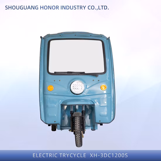 Three Wheel 500W 800W Electric Tricycle for Cargo Factory Manufacture Cheap Price Electric Cargo Tricycle with Mudguards