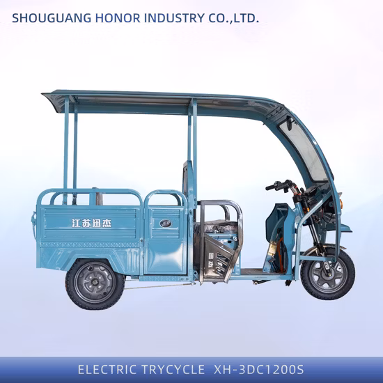 Three Wheel 500W 800W Electric Tricycle for Cargo Factory Manufacture Cheap Price Electric Cargo Tricycle with Mudguards