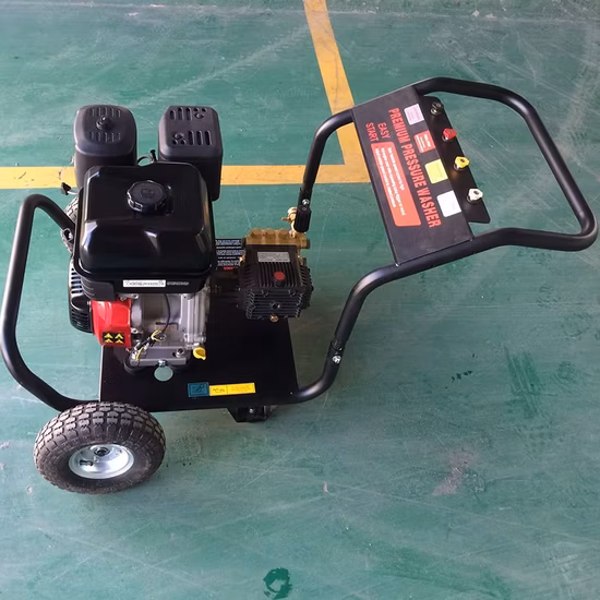 Lavadora de alta presión compacta Werkin