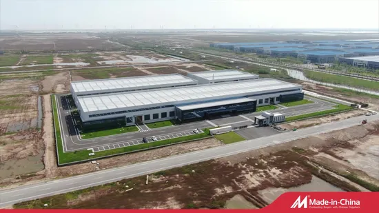 Tamaño de 0,20 mm a 10,00 mm Alambre de acero de resorte galvanizado